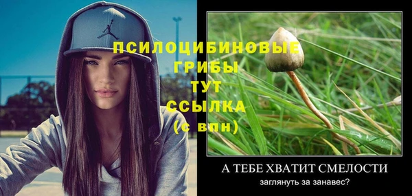 гидра Балабаново