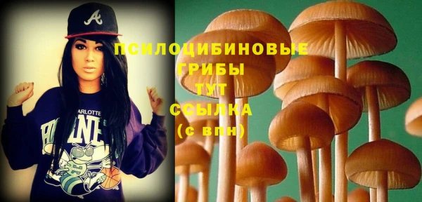 амф Баксан