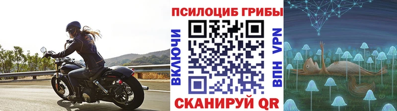 что такое наркотик  Новотроицк  кракен онион  Псилоцибиновые грибы Cubensis 